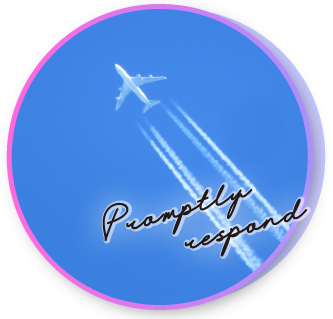 運用のプロが幅広い知識でサポート